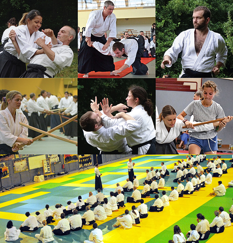 photo aikido traditionnel toulouse